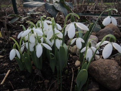 DSCN9058_1136.JPG