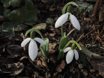 DSCN9059_1137.JPG