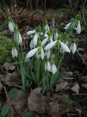 DSCN3428.JPG