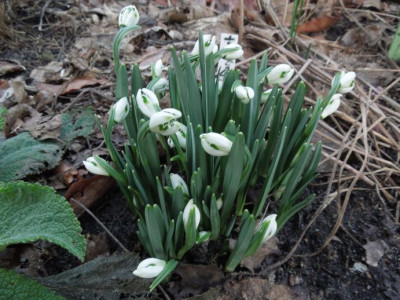 DSCN3439.JPG