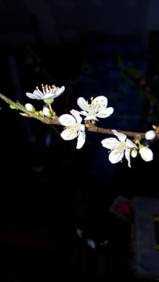 20160130_144246.jpg