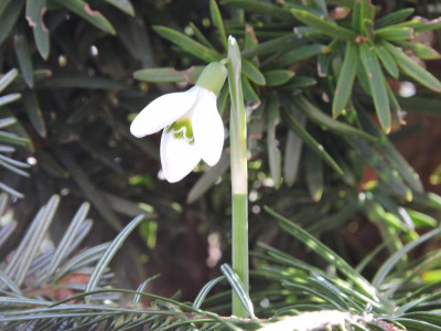 DSCN3000.JPG