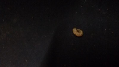 20160205_190013.jpg