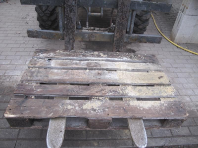 steinklopfer 1 5.2.16 ue.JPG