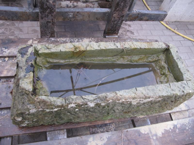 Steinklopfer 3 5.2.16 ue.JPG