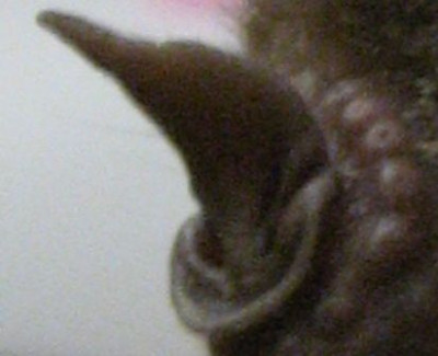 IMG_7534.jpg