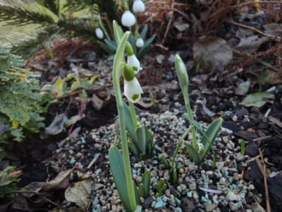 DSCN9159_1150.JPG