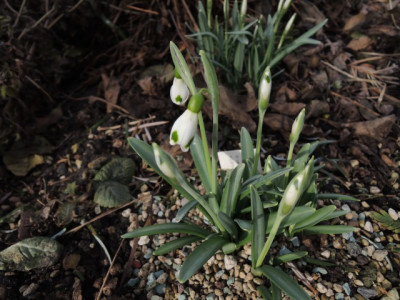 DSCN9122_1142.JPG