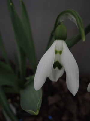 DSCN9111_1140.JPG