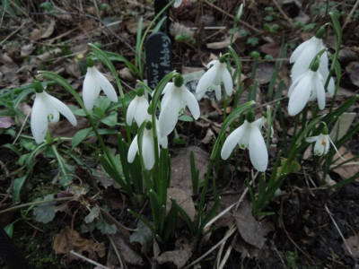 DSCN3457.JPG