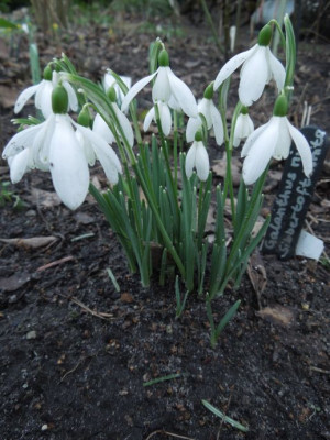 DSCN3470.JPG