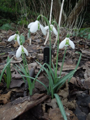 DSCN3476.JPG