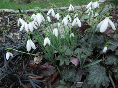 DSCN3454.JPG