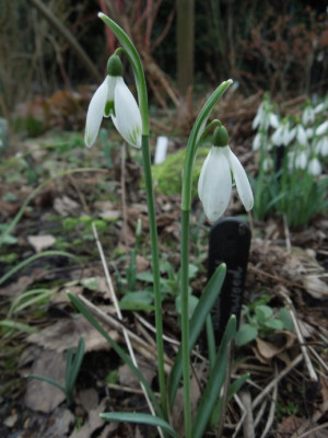 DSCN3458.JPG