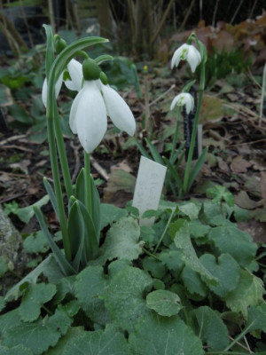 DSCN3460.JPG