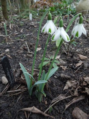 DSCN3464.JPG