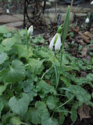 DSCN3466.JPG