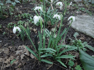 DSCN3471.JPG
