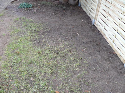 P1180589.JPG