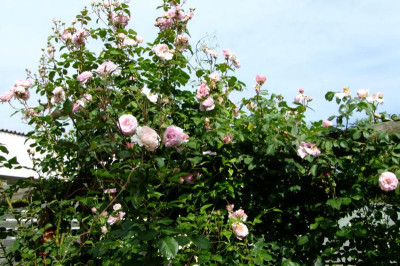 DSCF1757.JPG