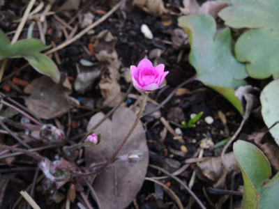 DSCN9176_1158.JPG