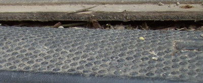 ALIM4711.JPG