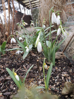 DSCN9207_1168.JPG