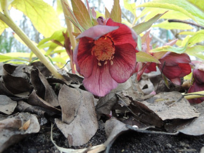 DSCN9200_1173.JPG