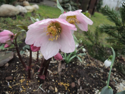 DSCN9192_1176.JPG