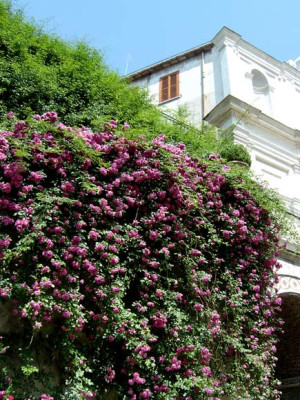 Villa-dEste-14-a.jpg