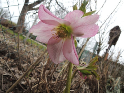 DSCN9217_1171.JPG