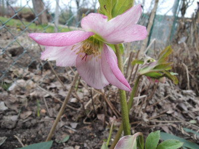 DSCN9218_1172.JPG