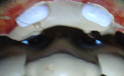 DSC00024.jpg