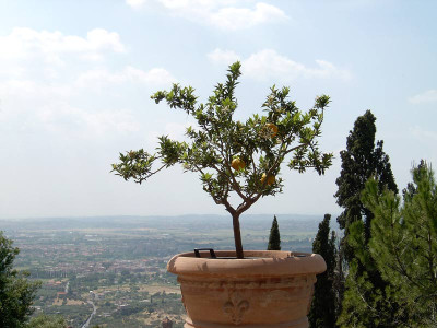 Villa-dEste-17.jpg