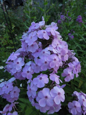 DSCN1795.JPG
