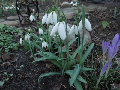 DSCN3500.JPG