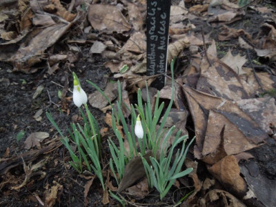 DSCN3479.JPG