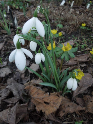 DSCN3511.JPG