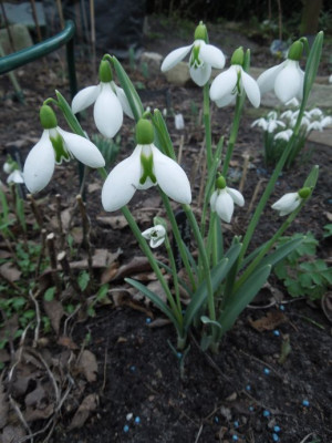 DSCN3520.JPG