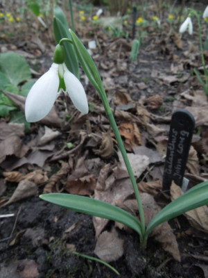 DSCN3521.JPG