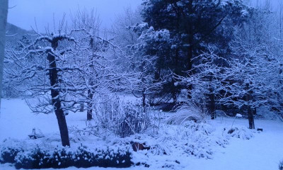 20160210_075123.jpg