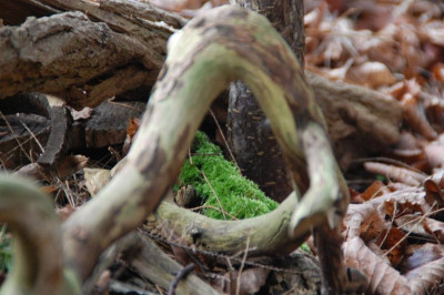 DSC_4357.JPG