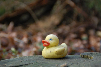 DSC_4356.JPG