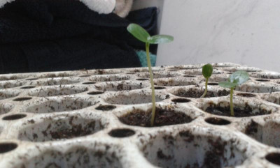 20160213_114136.jpg