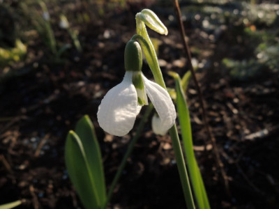 DSCN9260_1183.JPG
