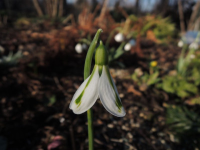 DSCN9258_1185.JPG