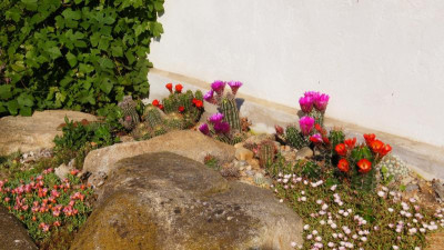 DSC08659.JPG