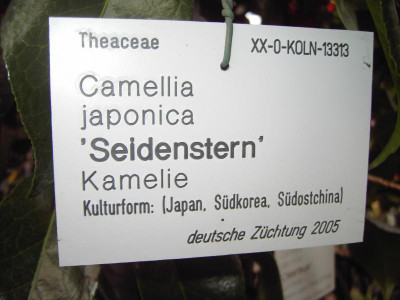 PICT0226.JPG