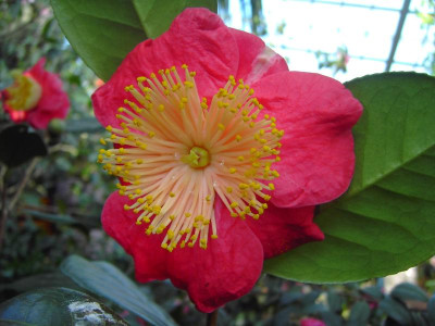 PICT0289.JPG