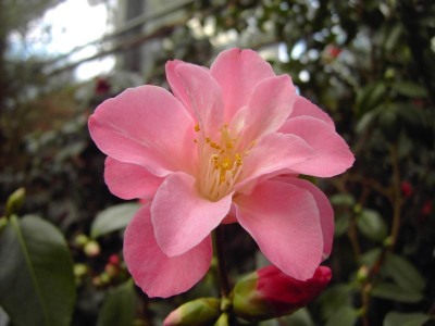 PICT0222.JPG
